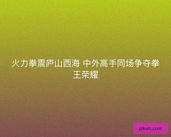 火力拳震庐山西海 中外高手同场争夺拳王荣耀